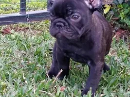 Maggie