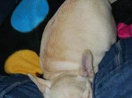 Sleeping positions........