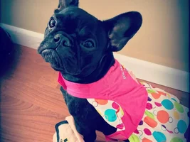 Birthday Pics and Food/Allergy issues