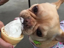 Ice Cream Day