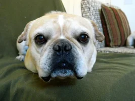 Foster Rocco stopping by...