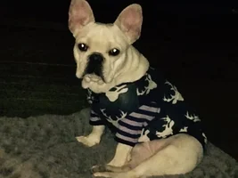 Monte and Reese updated pics