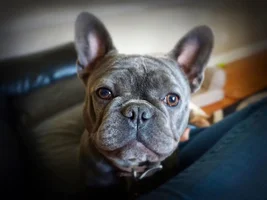 Hello all!