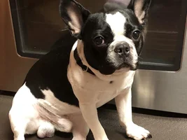 Hi! New to the site with my little dude