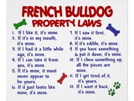 French Bulldog property laws