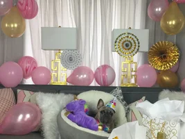 Maple Turned 1 Today