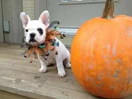 Meet Jackson Douglas