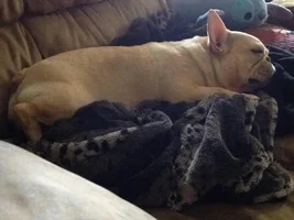 Awww sleepy baby