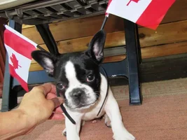 Happy Canada Day!!