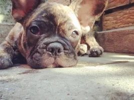 Hello to everyone :D