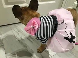 Costume or no costume?