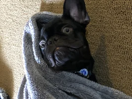 Hello from Virginia!