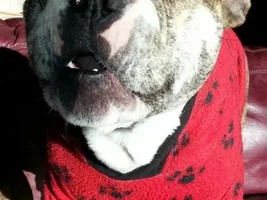 What a face to wake up to!