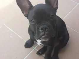 underbite