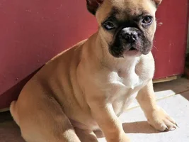 Just saying hello!