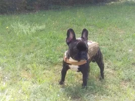 Escobar in his tactical vest!!