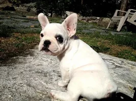Meet Jackson Douglas