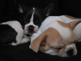 Olivia & Wilson 1/12/14