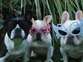 Elton John, eat your heart out