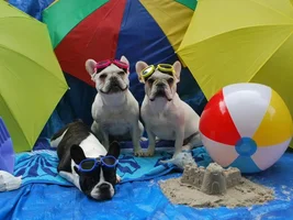 Summer Fun!!