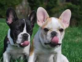 Almost 5 months ~ Olivia & Wilson