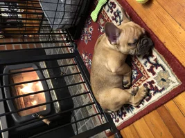 Milo