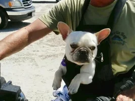 4 PAW MEMBERS!!! Please vote for the Father's Day Contest!