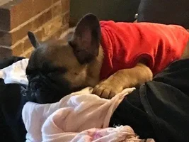Nail trimming