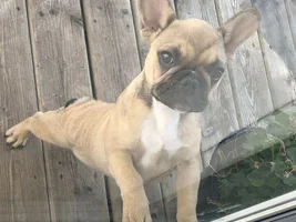 Do You Have That Very First Time Photo?