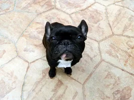 Say Hi to Cali!