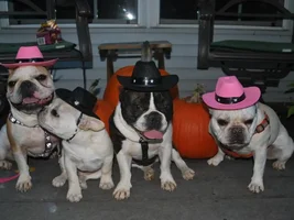 Where's the chuckwagon?