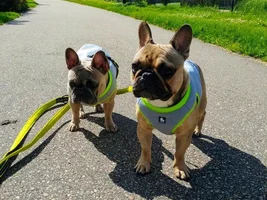 Staying cool