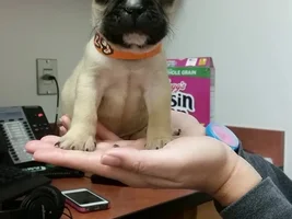 Do You Have That Very First Time Photo?