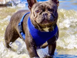 Labor Day weekend = Beach time!!!