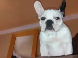Making sure I don't Slack