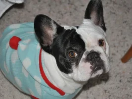 More of my baby Leo!!! :)