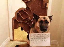 Just For Laughs....