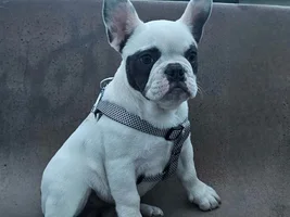 What type is she?