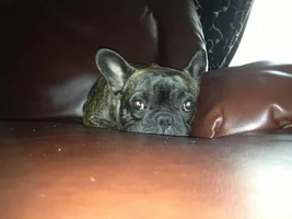 Cheli just chillin'