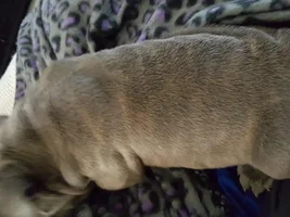 New member of the family!