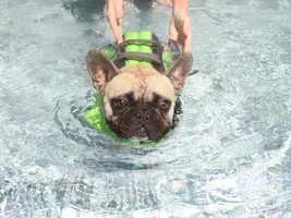 Swimming