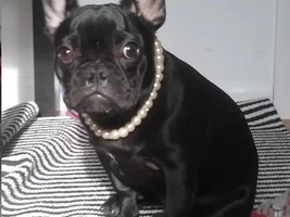 Ella in Pearls