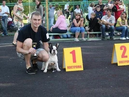 Muffin - sweet bulldog from Russia :)