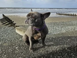 Hi there!!