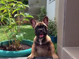 Hello from Indonesia