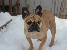 Snow Day!
