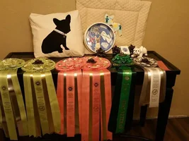 FBDCA National Specialty