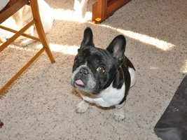 Newest member of the Norton household