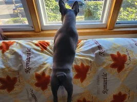 Nap time picture