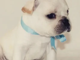 Hi! I'm Frank...